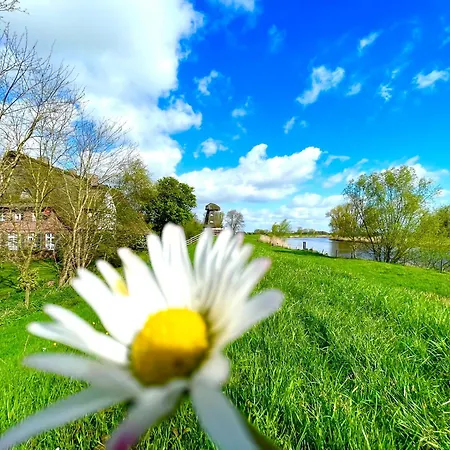 Appartamento Luxus-landhaus Nordsee, Sommer-pool, Kaminofen, Grosse Terrasse, Grill, 2 Schlafzimmer, Kueche, Bad, Wlan, *