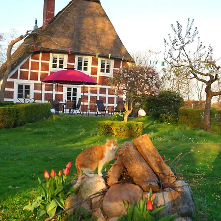 Appartamento Luxus-landhaus Nordsee, Sommer-pool, Kaminofen, Grosse Terrasse, Grill, 2 Schlafzimmer, Kueche, Bad, Wlan, *