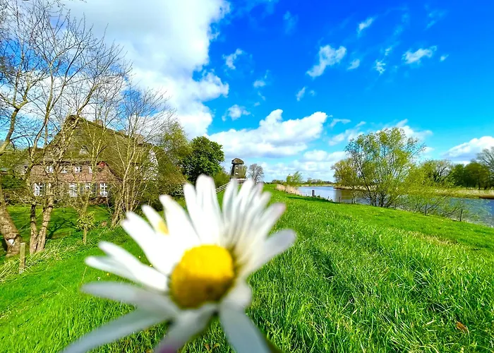 아파트 Luxus-Landhaus Nordsee, Sommer-Pool, Kaminofen, Grosse Terrasse, Grill, 2 Schlafzimmer, Kueche, Bad, Wlan, *